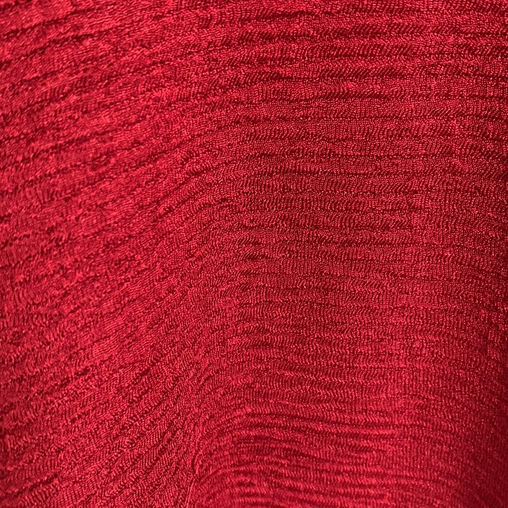 Red Dress - Picture 4 of 4